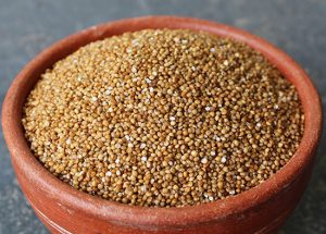 barnyard millets